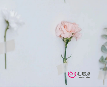 1679555056251282.png image.png