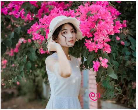 1680768263879699.png image.png