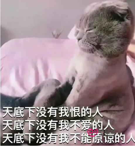 1684132821588720.png image.png